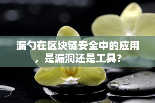 漏勺在区块链安全中的应用，是漏洞还是工具？