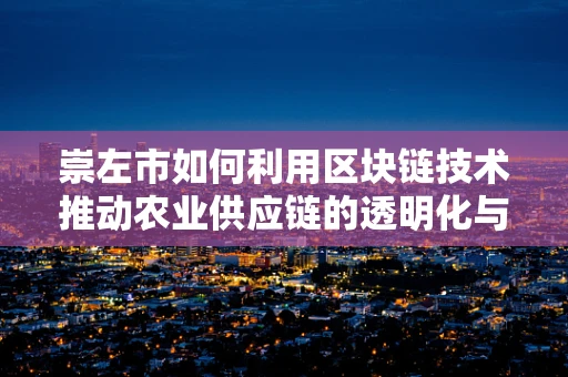 崇左市如何利用区块链技术推动农业供应链的透明化与效率提升？