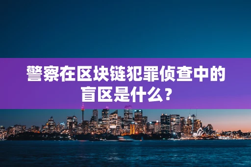 警察在区块链犯罪侦查中的盲区是什么？