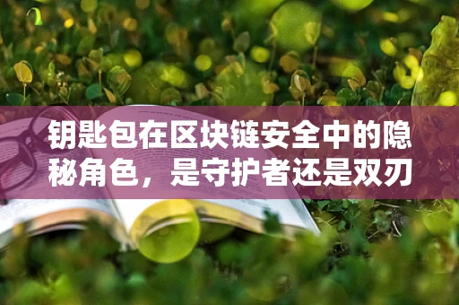钥匙包在区块链安全中的隐秘角色，是守护者还是双刃剑？