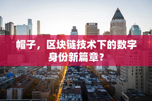帽子，区块链技术下的数字身份新篇章？