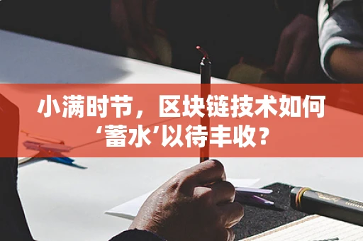 小满时节，区块链技术如何‘蓄水’以待丰收？
