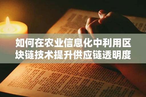 如何在农业信息化中利用区块链技术提升供应链透明度？
