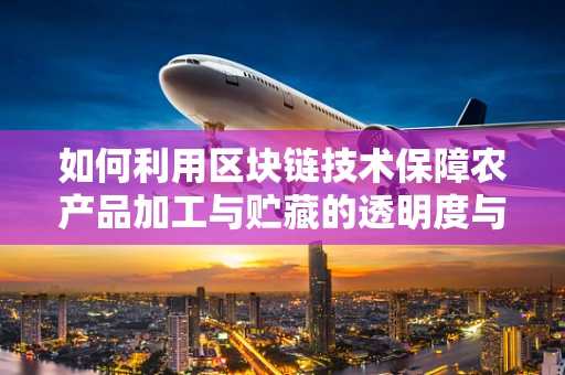 如何利用区块链技术保障农产品加工与贮藏的透明度与安全性？