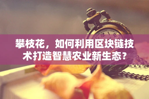 攀枝花，如何利用区块链技术打造智慧农业新生态？