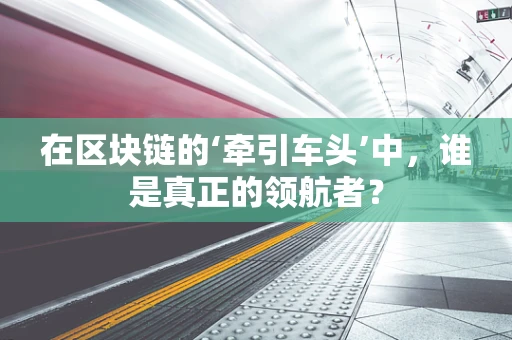 在区块链的‘牵引车头’中，谁是真正的领航者？