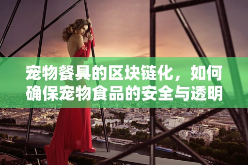 宠物餐具的区块链化，如何确保宠物食品的安全与透明？