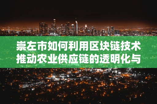 崇左市如何利用区块链技术推动农业供应链的透明化与效率提升？