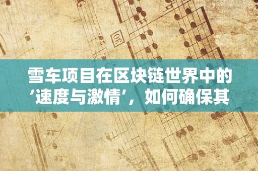 雪车项目在区块链世界中的‘速度与激情’，如何确保其安全与透明？