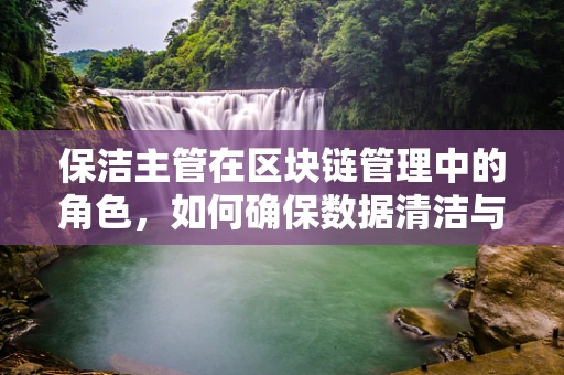 保洁主管在区块链管理中的角色，如何确保数据清洁与安全？