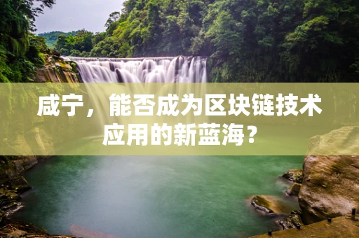 咸宁，能否成为区块链技术应用的新蓝海？