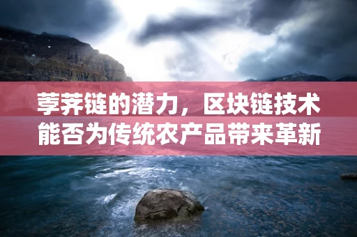 荸荠链的潜力，区块链技术能否为传统农产品带来革新？