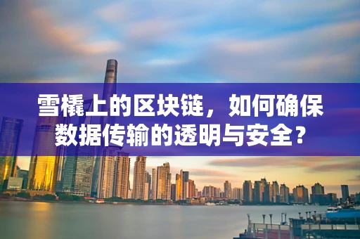 雪橇上的区块链，如何确保数据传输的透明与安全？