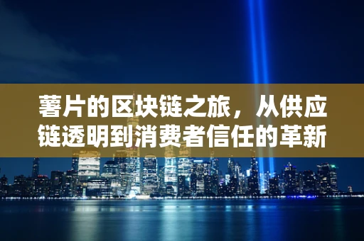 薯片的区块链之旅，从供应链透明到消费者信任的革新