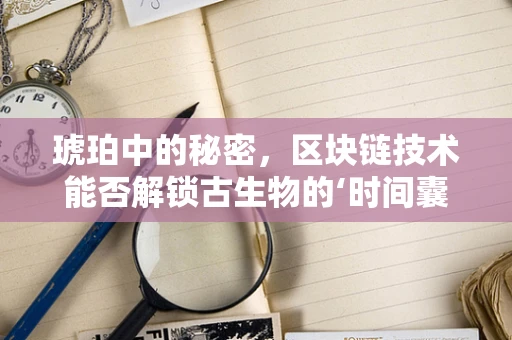 琥珀中的秘密，区块链技术能否解锁古生物的‘时间囊’？