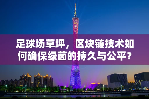 足球场草坪，区块链技术如何确保绿茵的持久与公平？