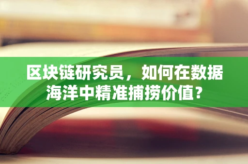 区块链研究员，如何在数据海洋中精准捕捞价值？