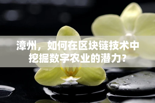 漳州，如何在区块链技术中挖掘数字农业的潜力？
