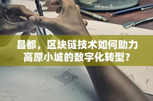 昌都，区块链技术如何助力高原小城的数字化转型？
