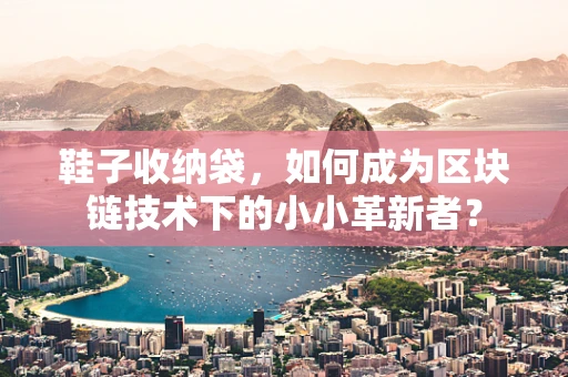 鞋子收纳袋，如何成为区块链技术下的小小革新者？
