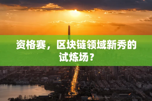 资格赛，区块链领域新秀的试炼场？