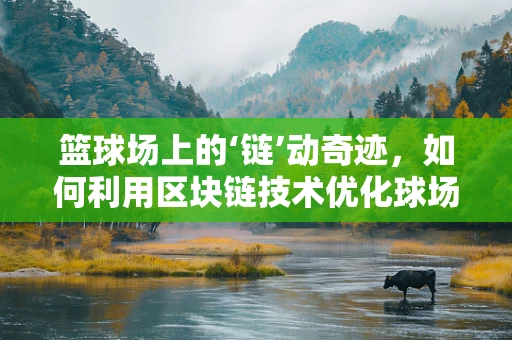 篮球场上的‘链’动奇迹，如何利用区块链技术优化球场管理？