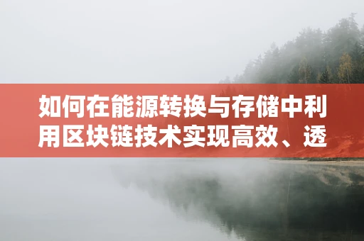 如何在能源转换与存储中利用区块链技术实现高效、透明的能源管理？
