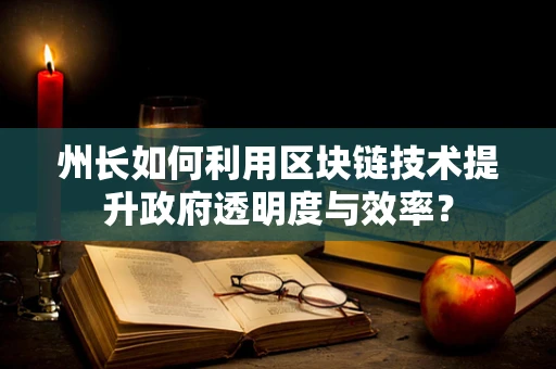 州长如何利用区块链技术提升政府透明度与效率？