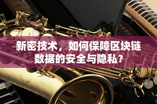 新密技术，如何保障区块链数据的安全与隐私？