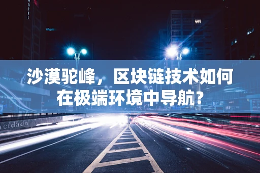 沙漠驼峰，区块链技术如何在极端环境中导航？