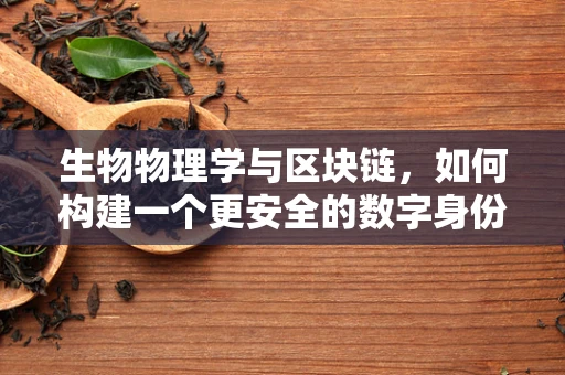 生物物理学与区块链，如何构建一个更安全的数字身份？