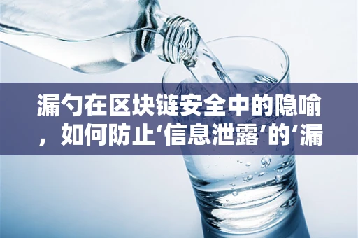 漏勺在区块链安全中的隐喻，如何防止‘信息泄露’的‘漏网之鱼’？