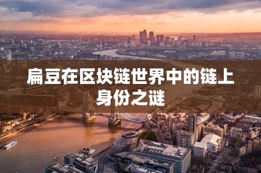 扁豆在区块链世界中的链上身份之谜