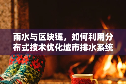 雨水与区块链，如何利用分布式技术优化城市排水系统？