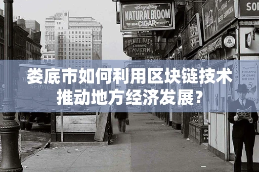娄底市如何利用区块链技术推动地方经济发展？