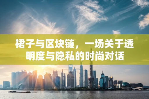 裙子与区块链，一场关于透明度与隐私的时尚对话