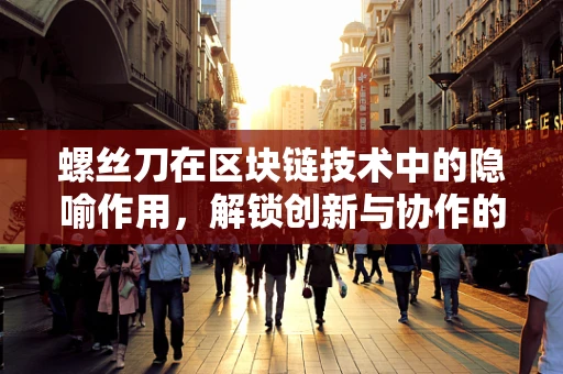 螺丝刀在区块链技术中的隐喻作用，解锁创新与协作的密钥？