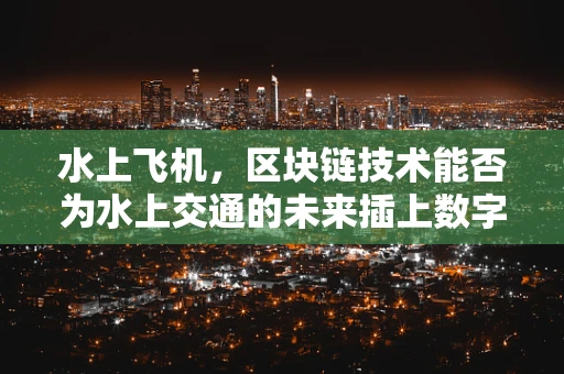 水上飞机，区块链技术能否为水上交通的未来插上数字之翼？