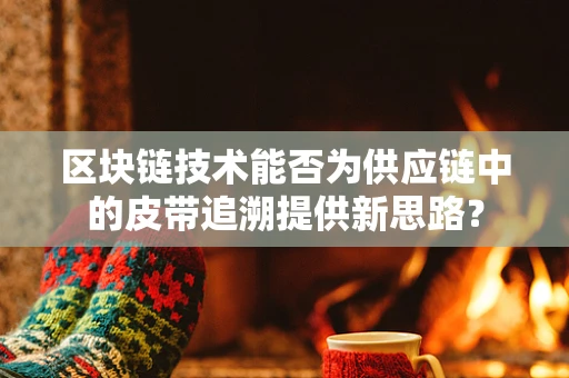 区块链技术能否为供应链中的皮带追溯提供新思路？