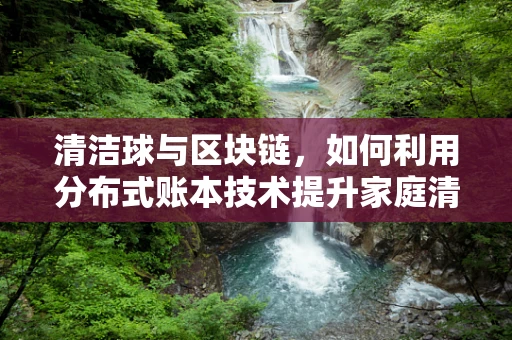 清洁球与区块链，如何利用分布式账本技术提升家庭清洁的透明度与效率？