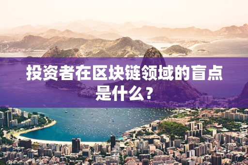 投资者在区块链领域的盲点是什么？