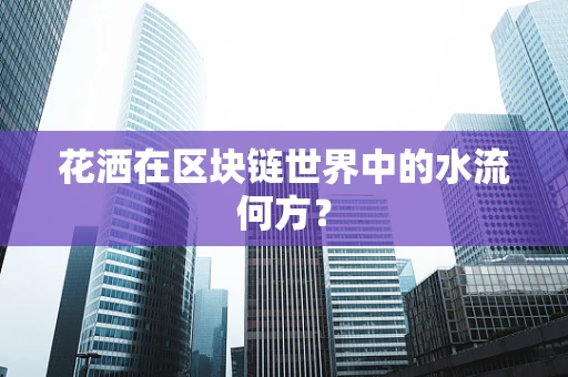 花洒在区块链世界中的水流何方？