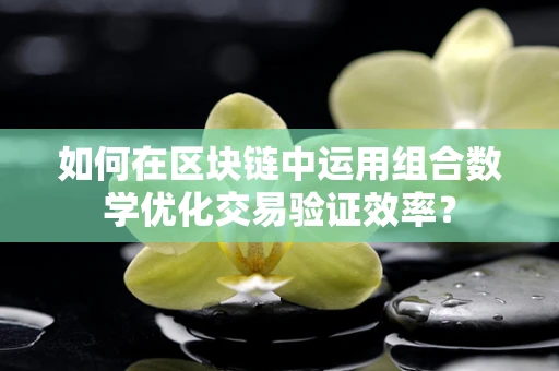 如何在区块链中运用组合数学优化交易验证效率？