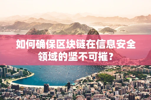 如何确保区块链在信息安全领域的坚不可摧？