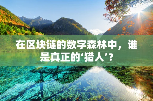 在区块链的数字森林中，谁是真正的‘猎人’？