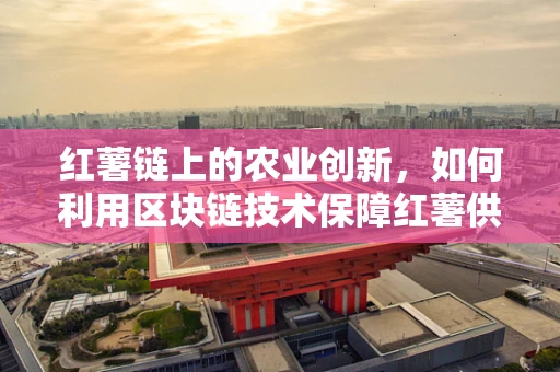 红薯链上的农业创新，如何利用区块链技术保障红薯供应链的透明与安全？