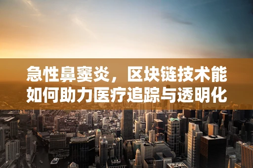 急性鼻窦炎，区块链技术能如何助力医疗追踪与透明化？