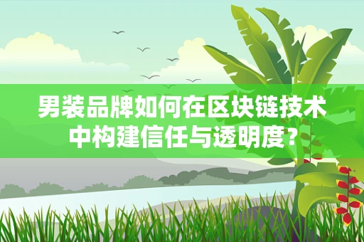 男装品牌如何在区块链技术中构建信任与透明度？