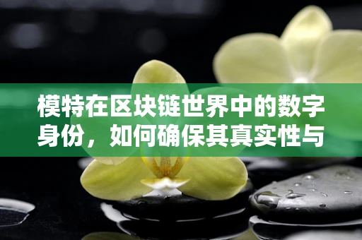 模特在区块链世界中的数字身份，如何确保其真实性与隐私？