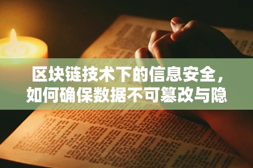 区块链技术下的信息安全，如何确保数据不可篡改与隐私保护？